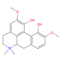 木兰花碱，10mM in DMSO，阿拉丁