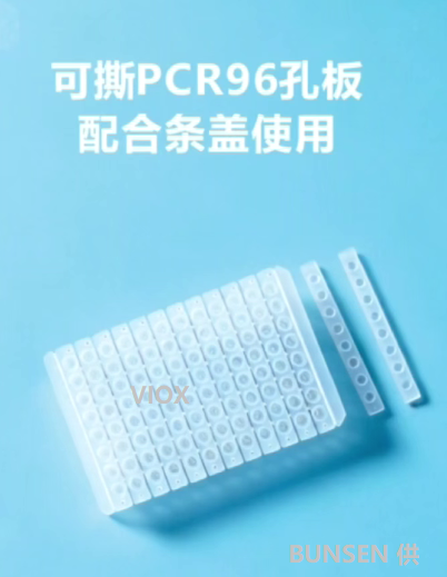 新闻图片2