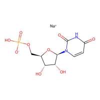 Sodium((2R,3S,4R,5R)-5-(2,4-dioxo-3,4-dihydropyrimidin-1(2H)-yl)-3,4-dihydroxytetrahydrofuran-2-yl)methylhydrogenphosphate,3106-18-1,≥95%,阿拉丁