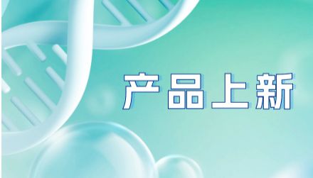 体内实验级抗鼠CTLA-4抗体（克隆号：9D9、9H10）