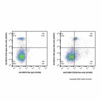 CD226 Rat mAb (AF405)，ExactAb™, 已验证, Ex:401nm, Em:422nm, 0.5 mg/mL，阿拉丁