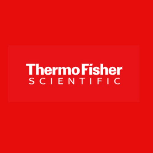 Thermo Scientific™ SuperSignal™ West Femto 超敏底物