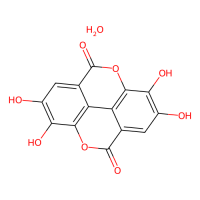鞣花酸水合物,314041-08-2,2mM in DMSO,阿拉丁