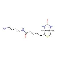 N-(4-氨基丁基)-5-((3aS，4S，6aR)-2-氧代六氢-1H-噻吩并[3，4-d]咪唑-4-基)戊酰胺，151294-96-1，≥95%，阿拉丁