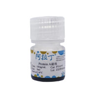 Protein A磁珠,BioReagent, for IP, for CoIP, 10mg/mL; 200nm,阿拉丁