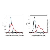 CD86 Rat mAb (AF647),ExactAb™, 已验证, 0.5 mg/mL,阿拉丁