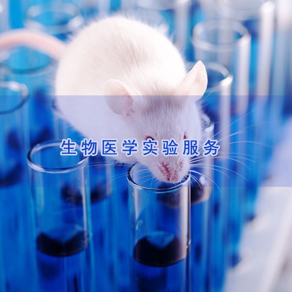骨关节炎动物模型实验|山东构建实验动物模型