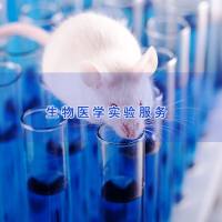 骨关节炎动物模型实验|山东构建实验动物模型