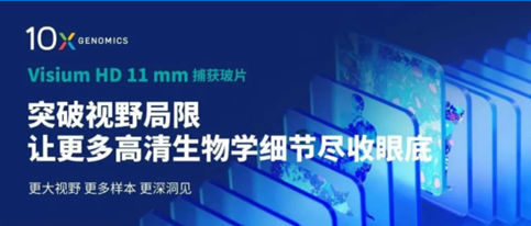 芯空一号Update | 更大空间 · 更深洞察 —— Visium HD 11mm大面积捕获区域重磅登场