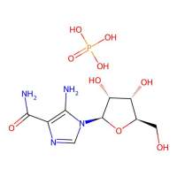 AICAR phosphate，681006-28-0，10mM in Water，阿拉丁