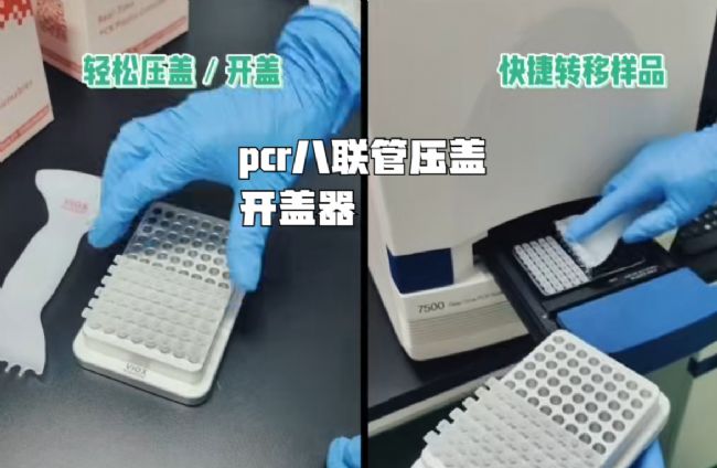 新闻图片1