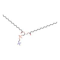 1-硬脂酰基-2-棕榈酰基-sn-甘油-3-磷酸胆碱,59403-53-1,≥90%,阿拉丁