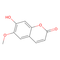 莨菪亭,92-61-5,≥98%,阿拉丁