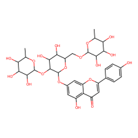 女贞苷,260413-62-5,10mM in DMSO,阿拉丁