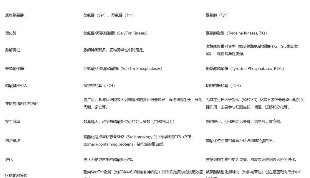 经典修饰丝氨酸/苏氨酸磷酸化，精准演绎细胞信号的奥秘