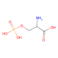 L-O-磷酸丝氨酸，407-41-0，Moligand™, 10mM in Water，阿拉丁