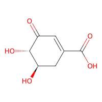 3-脱氢莽草酸，2922-42-1，Moligand™,≥98%，阿拉丁