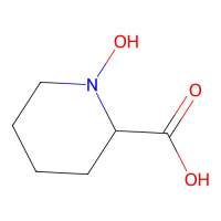 N-Hydroxypipecolic acid,115819-92-6,10mM in DMSO,阿拉丁