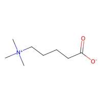 delta-Valerobetaine ,6778-33-2,≥98%,阿拉丁