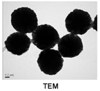 γ-三氧化二铁磁性微球,1309-37-1,基质:SiO2,表面基团:-SiOH,粒径:2-3μm,单位:10mg/ml,阿拉丁