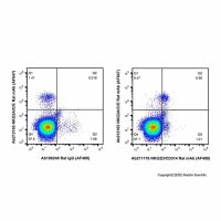 NKG2D/CD314 Rat mAb (AF488),ExactAb™, 已验证, 0.5 mg/mL,阿拉丁