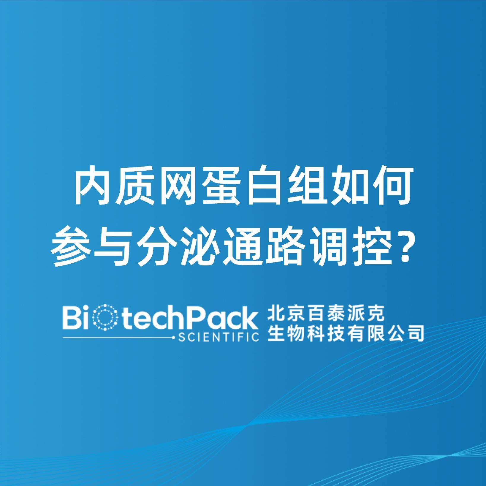 内质网蛋白组如何参与分泌通路调控？