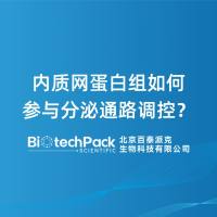 内质网蛋白组如何参与分泌通路调控？
