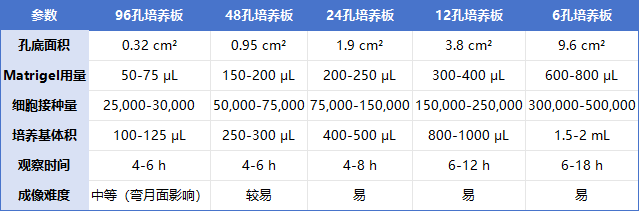 血管形成实验总翻车？Elabscience 超全实验指南来了