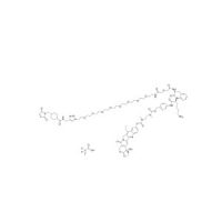 CL2E-SN38 TFA，≥99%，阿拉丁