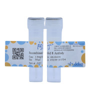 Recombinant Frizzled 8 Antibody,ExactAb™, Validated, 重组, 1.0 mg/mL,阿拉丁