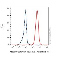 CD90/Thy1 Mouse mAb，无载体, ExactAb™, 已验证, 见COA，阿拉丁