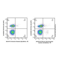 TCR Vγ1.1/Cr4 Armenian hamster mAb (Biotin)，ExactAb™, 已验证, 0.5 mg/mL，阿拉丁