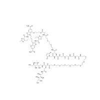 XMT-1519 conjugate-1,2720500-19-4,阿拉丁