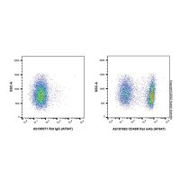 CD45R Rat mAb (AF647),ExactAb™, 已验证, Ex:650nm, Em:668nm, 0.5 mg/mL,阿拉丁