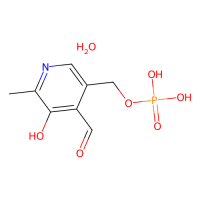 5-磷酸吡哆醛酯一水合物，41468-25-1，10mM in DMSO，阿拉丁