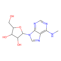 N6-甲基腺苷,1867-73-8,10mM in DMSO,阿拉丁