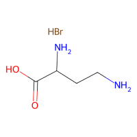 L-DAB HBR,73143-97-2,10mM in Water,阿拉丁