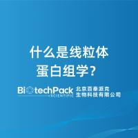什么是线粒体蛋白组学？