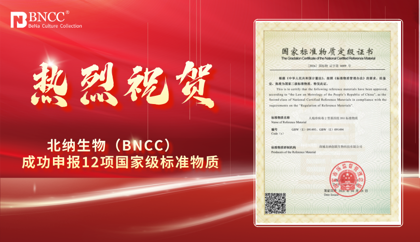 新闻图片2