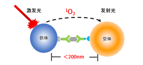 新闻图片2