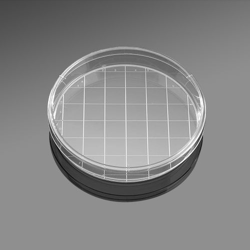 Corning/康宁353025 150*25mm细胞培养皿，标准TC