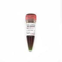 2×Profusion™ PCR Master Mix 超高保真酶预混液