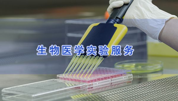 抑菌实验：原理、方法与应用