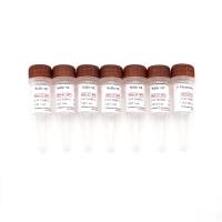 Mouse Tissue Direct PCR Kit (With Dye) 小鼠组织直接PCR试剂盒/鼠尾基因型鉴定试剂盒