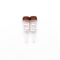 Alkaline Phosphatase (30 U/μl), Calf Intestine (CIAP) 小牛肠碱性磷酸酶
