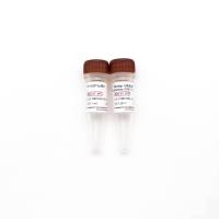 Shrimp Alkaline Phosphatase (SAP) (1U/μl) 虾碱性磷酸酶
