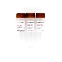 HRbio™ Ⅲ miRNA 1st Strand cDNA Synthesis Kit miRNA逆转录试剂盒(加尾法）
