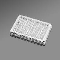 Corning/康宁353072 96孔细胞培养板 标准TC 平底 带盖