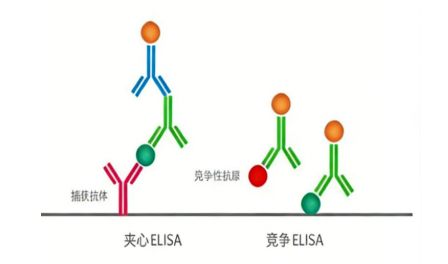 新闻图片1