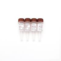 Animal Tissue Direct PCR Kit (With Dye) 动物组织直接PCR试剂盒